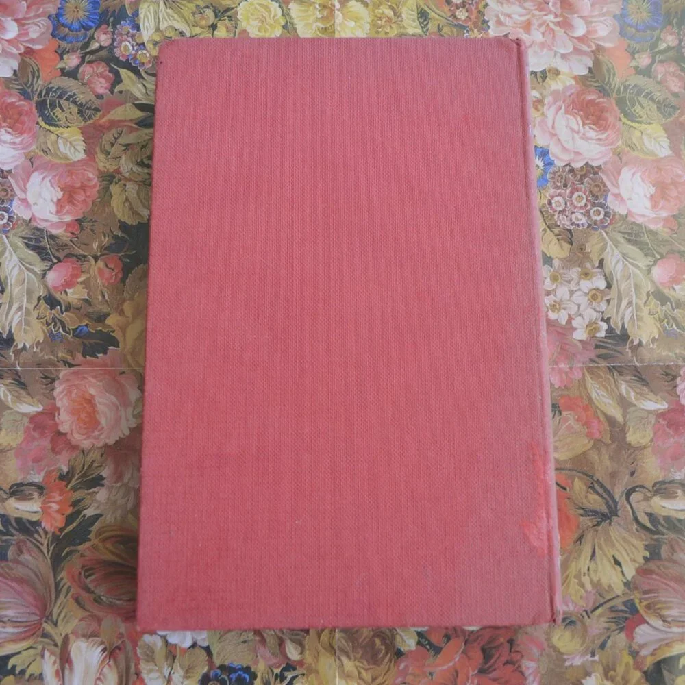 Little Men  by Louisa M. Alcott - Picture 4 of 5